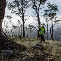 Dewalt DCM565N 18V XR Cordless Brushless Chainsaw 30cm (Body Only) -Optimal Tool Store 5de4c94ecaefae101400002a 65850.1583490035